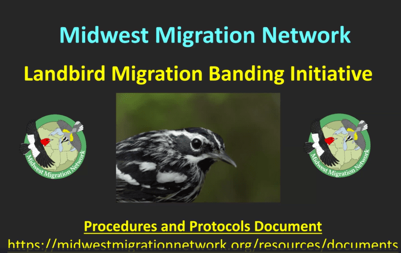 Midwest Migration Network